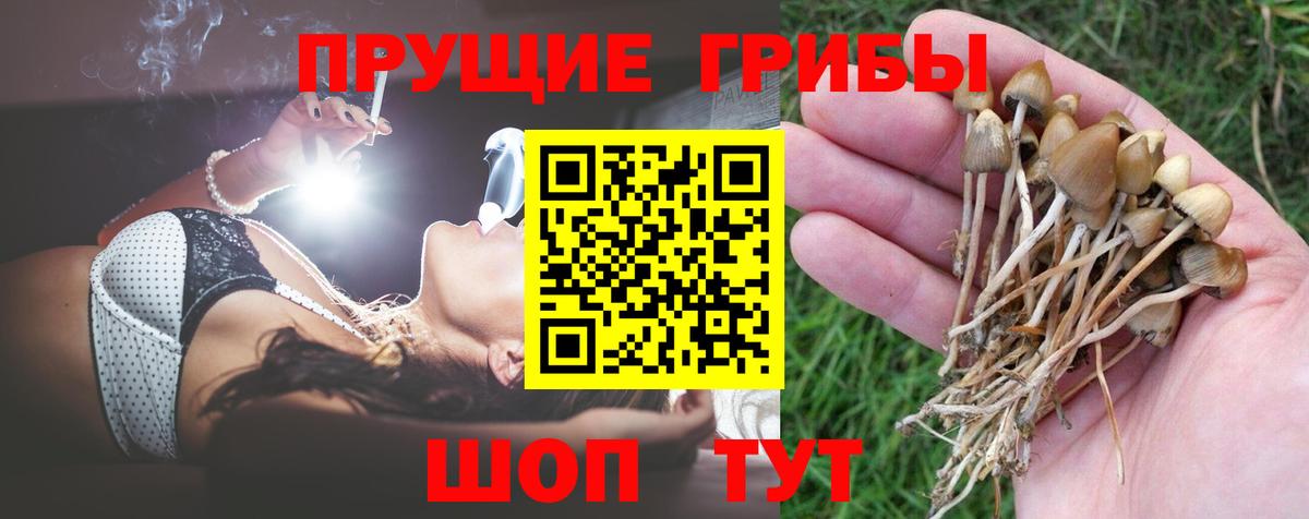 Котовск  Псилоцибиновые грибы Psilocybe  Галлюциногенные грибы MAGIC MUSHROOMS  Вход с VPN 