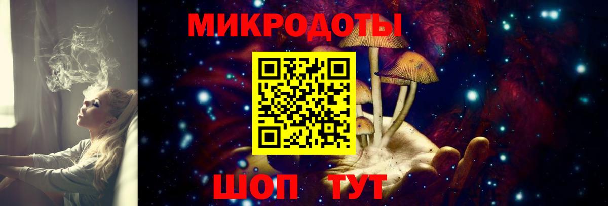 Псилоцибиновые грибы GOLDEN TEACHER Котовск